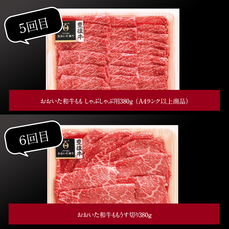 【定期便】大分県産黒毛和牛（おおいた和牛）・米の恵みプレミアム豚 バラエティ定期便 毎月6回お届け