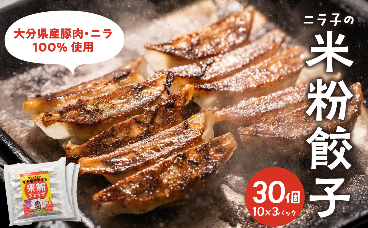 マジでうまい！モチモチすぎるニラ子の米粉ぎょうざ 大分県産豚肉・にら100%使用(ニラ醤油タレ付) 10個入り3パック