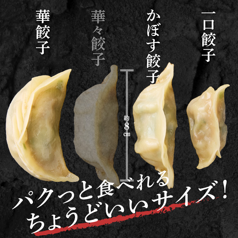 華永餃子セットA（華×1、一口×1、かぼす×1） 計54個