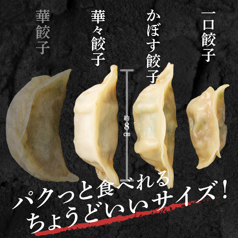 華永餃子セットF（かぼす×2、一口×1、華々×1） 計62個