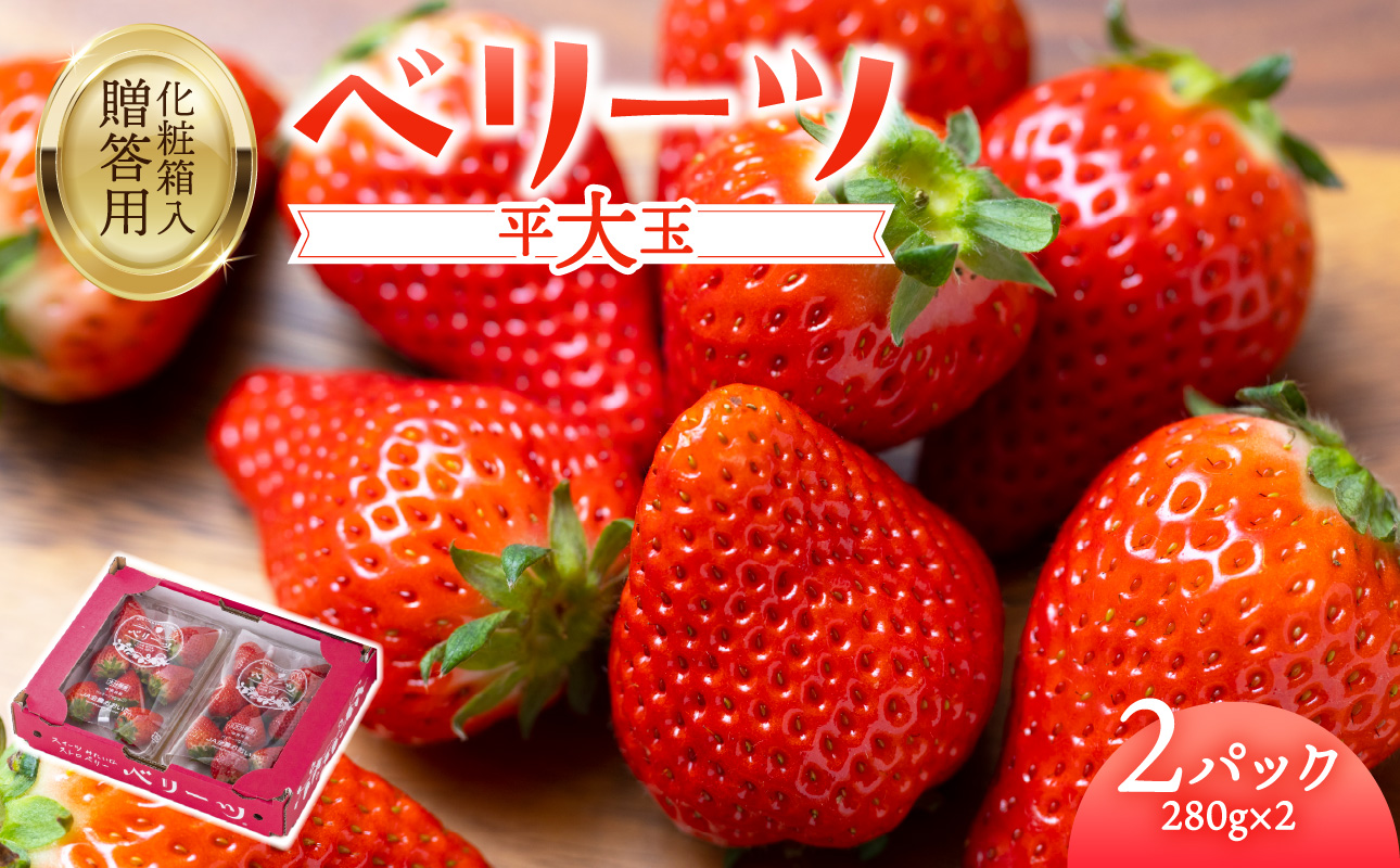 【先行予約※2026年2月下旬より発送開始】大分県ブランドいちご「ベリーツ」平大玉 約280g×2パック