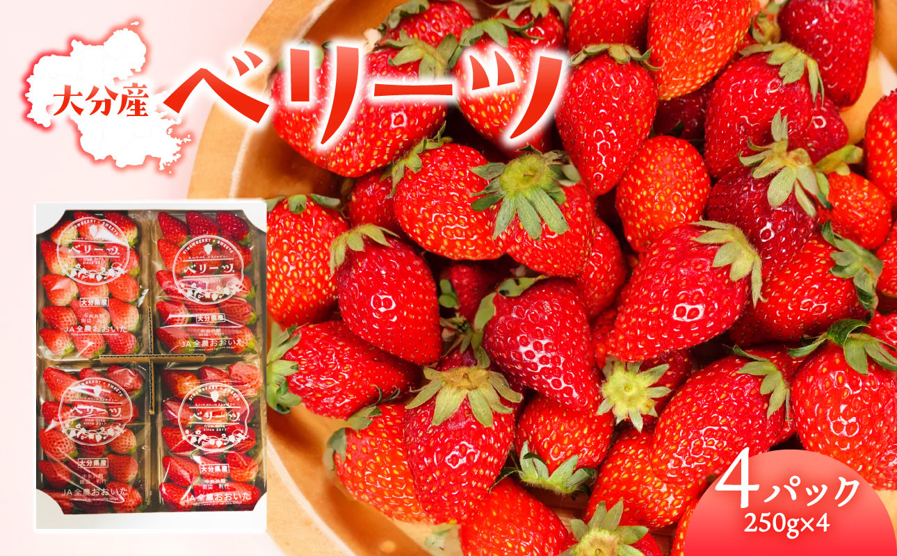 【先行予約※2026年2月下旬より発送開始】大分県ブランドいちご「ベリーツ」約250g×4パック