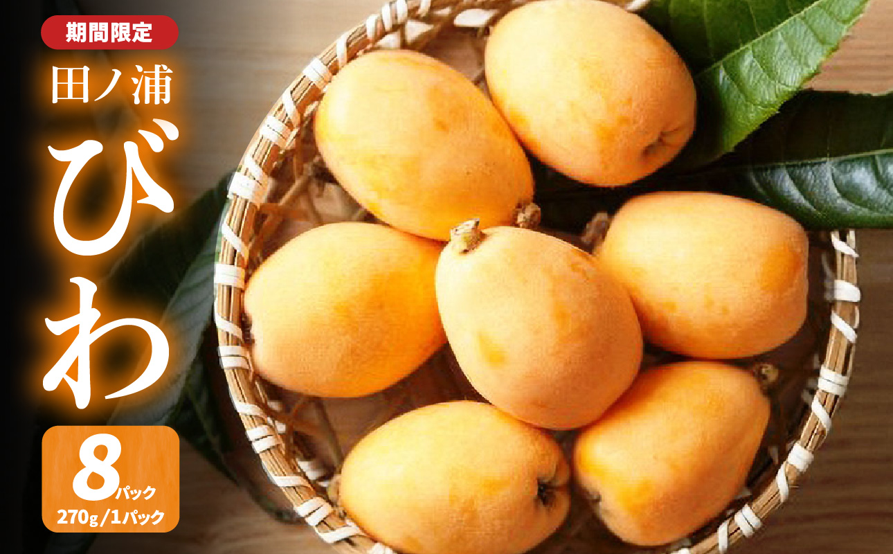 【期間限定】田ノ浦びわ 約2.16kg（270g×8パック）