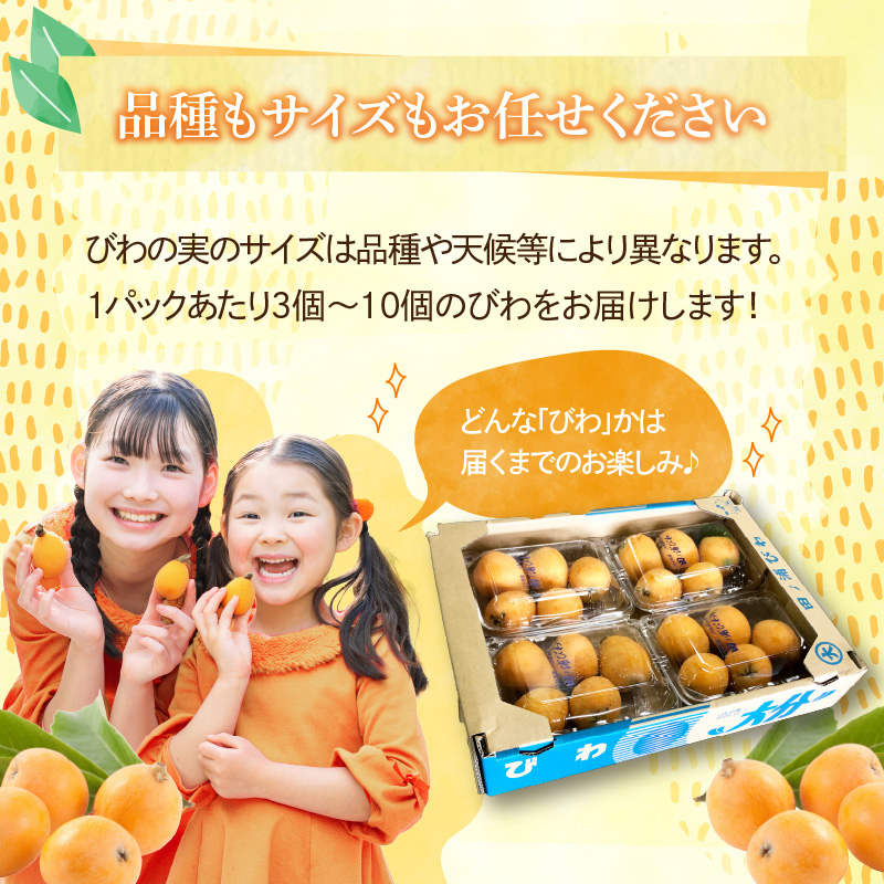 【期間限定】田ノ浦びわ 約1.08kg（270g×4パック）