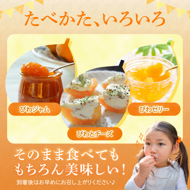 【期間限定】田ノ浦びわ 約2.16kg（270g×8パック）