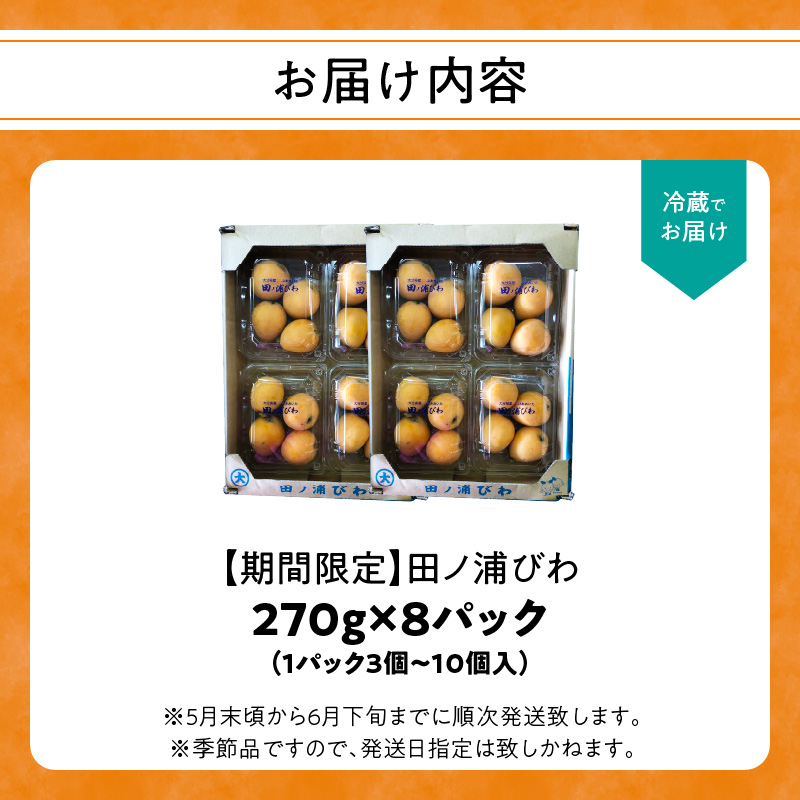 【期間限定】田ノ浦びわ 約2.16kg（270g×8パック）