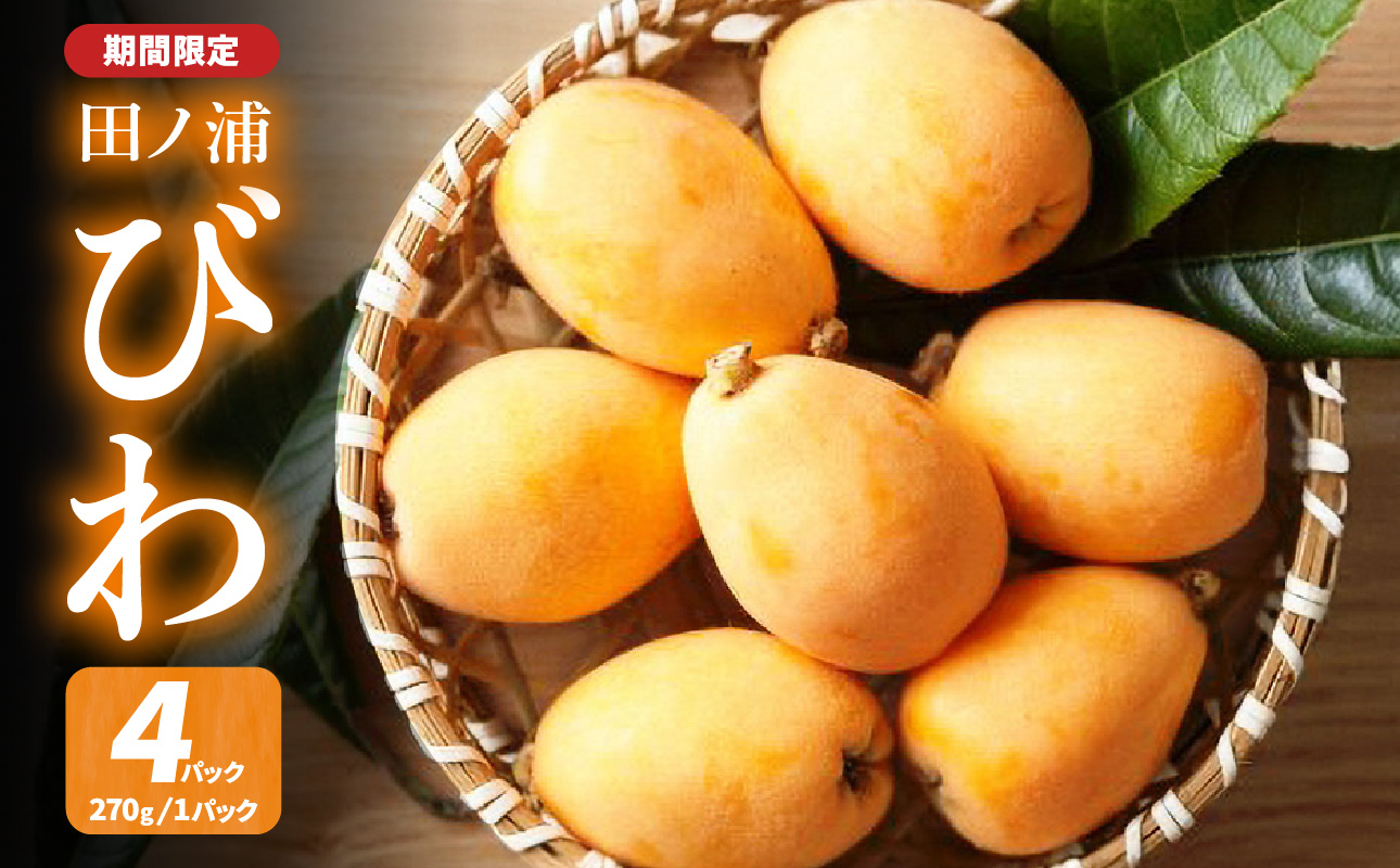 【期間限定】田ノ浦びわ 約1.08kg（270g×4パック）