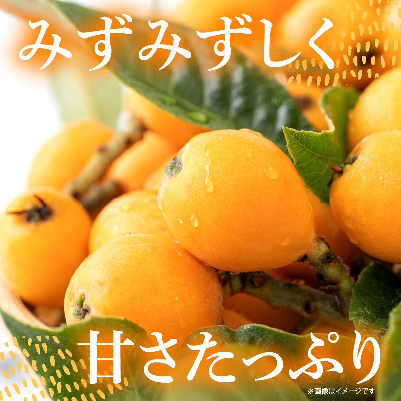 【期間限定】田ノ浦びわ 約1.08kg（270g×4パック）