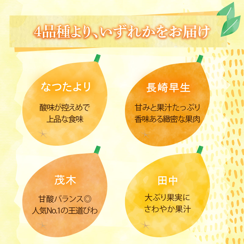 【期間限定】田ノ浦びわ 約1.08kg（270g×4パック）