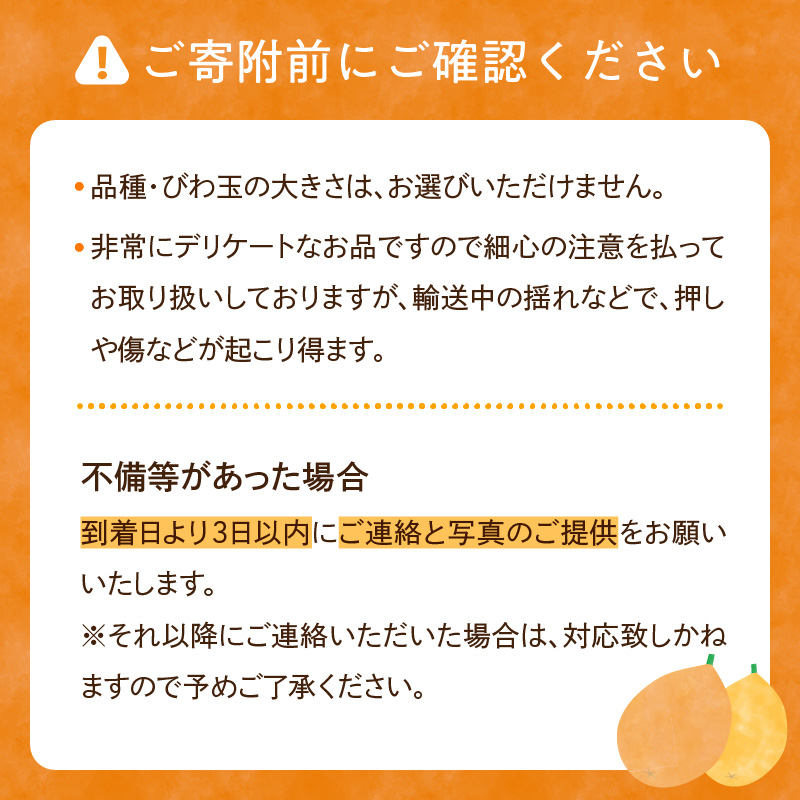 【期間限定】田ノ浦びわ 約1.08kg（270g×4パック）