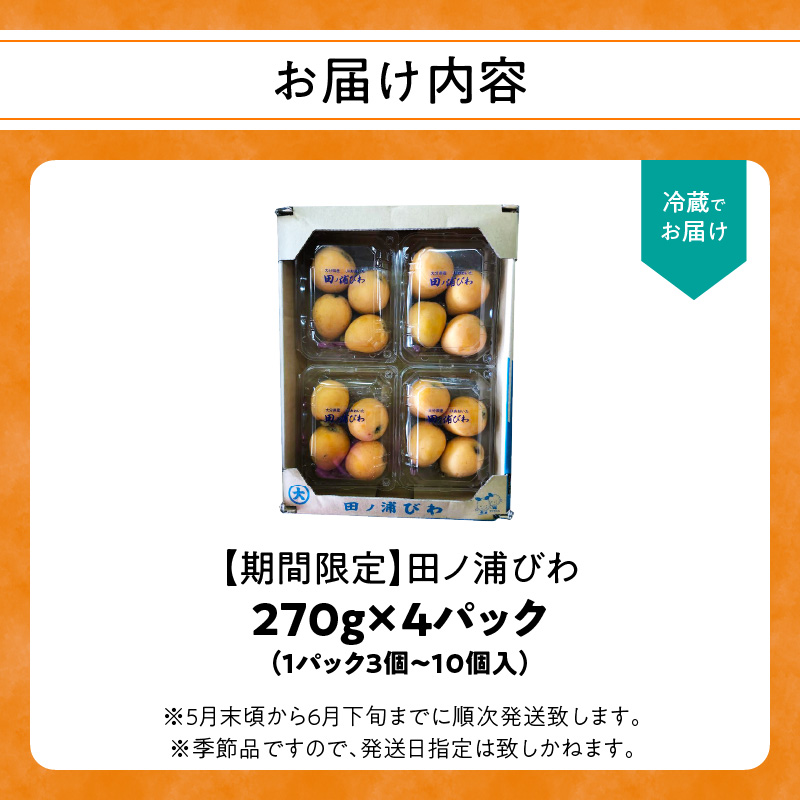 【期間限定】田ノ浦びわ 約1.08kg（270g×4パック）