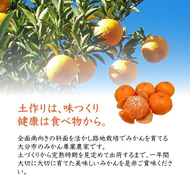 森崎農園のこだわりみかん 約5kg 極早生〜 早生〜蔵出しまで