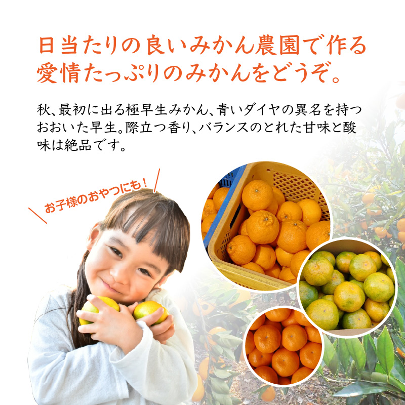森崎農園のこだわりみかん 約5kg 極早生〜 早生〜蔵出しまで