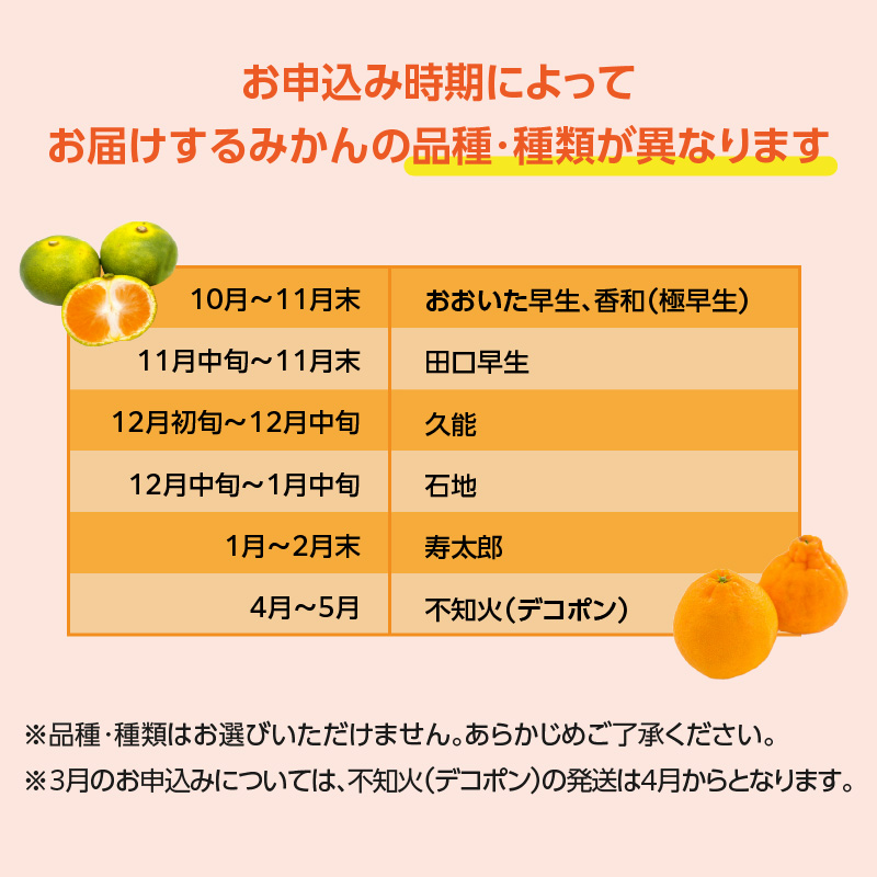 森崎農園のこだわりみかん 約5kg 極早生〜 早生〜蔵出しまで