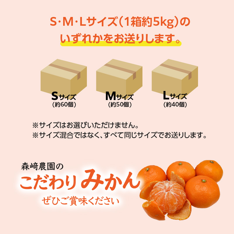森崎農園のこだわりみかん 約5kg 極早生〜 早生〜蔵出しまで