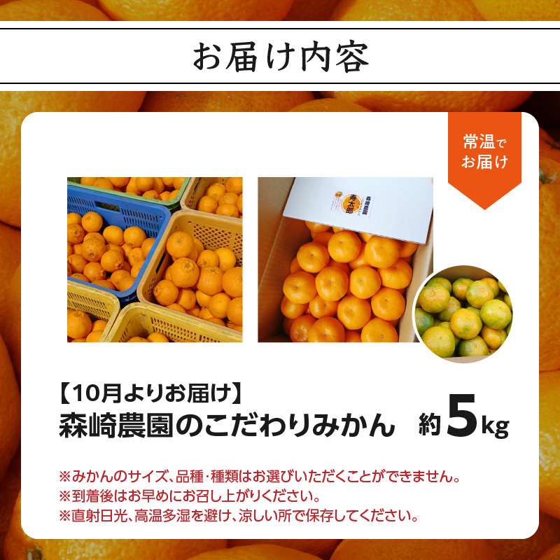 森崎農園のこだわりみかん 約5kg 極早生〜 早生〜蔵出しまで