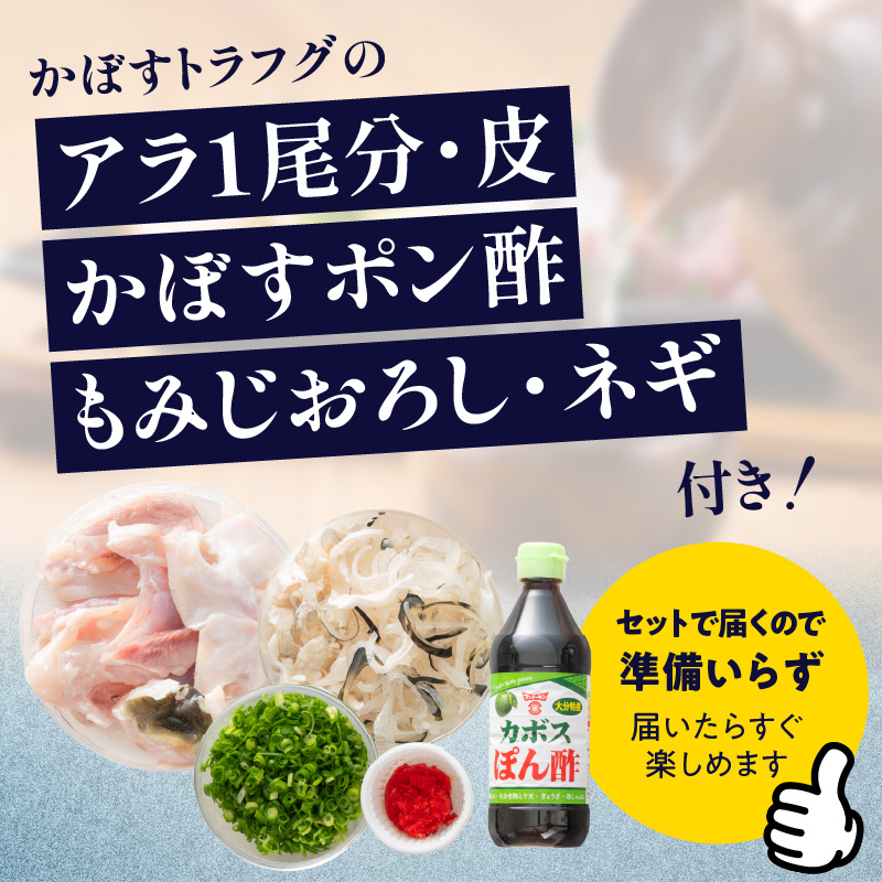 ããŒããã©ãã° ããåŒãã»ããªã»ããïŒ33cmç¿ïŒã12æïœ2æãŸã§ãå±ãã