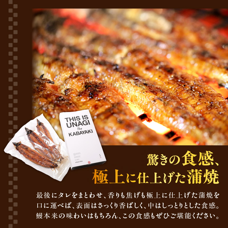 縺縺ェ縺取侭逅蜈・闊 闥イ辟シ3蟆セシ矩ーサ螻ア讀堤ョ