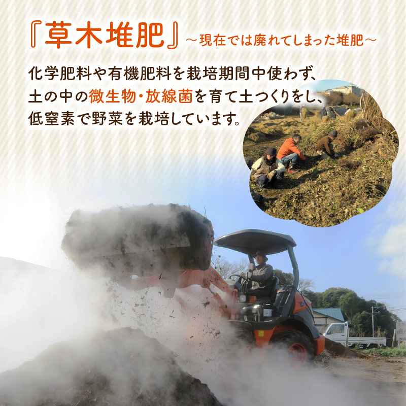 むかし野菜の邑　大分市産直　自然栽培の野菜セット