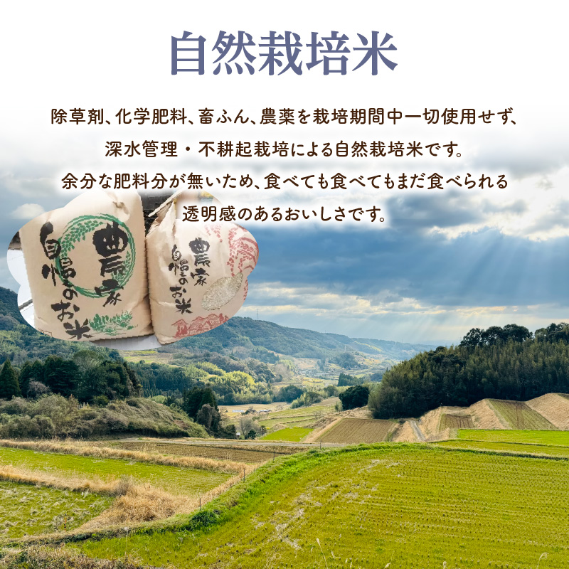 むかし野菜の邑　大分市産直　自然栽培の野菜セット