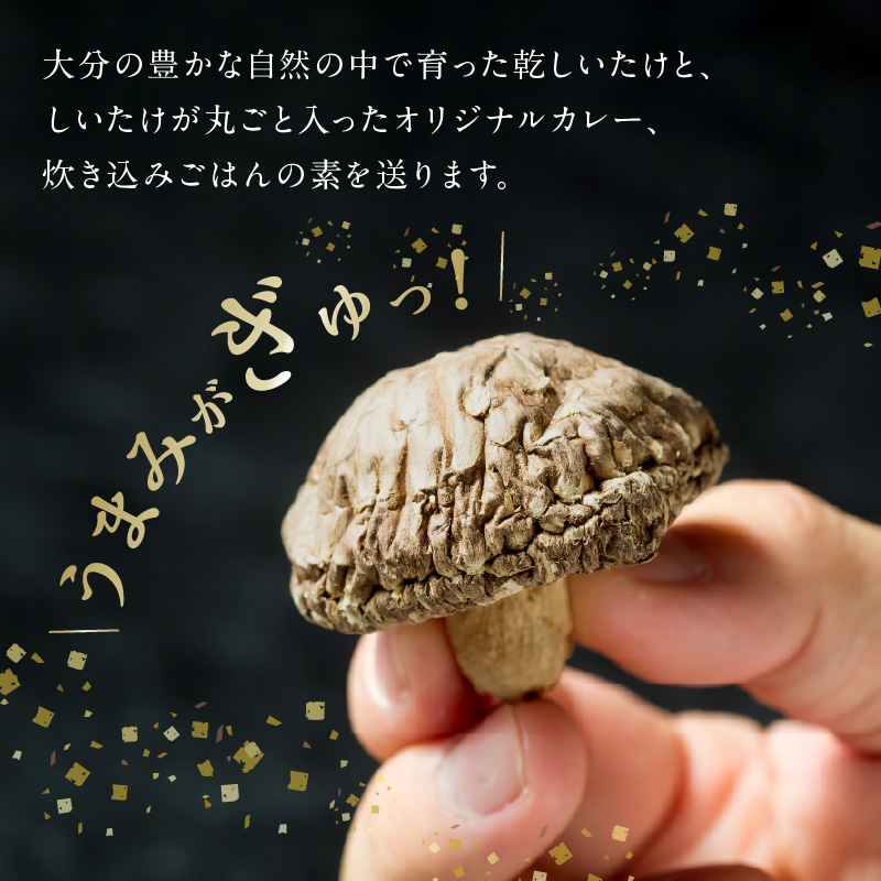 螟ァ蛻逕」荵セ縺励>縺溘¢縺ィ雎雁セ後″縺ョ縺薙き繝ャ繝シ縺ィ雎雁セ後″縺ョ縺薙a縺