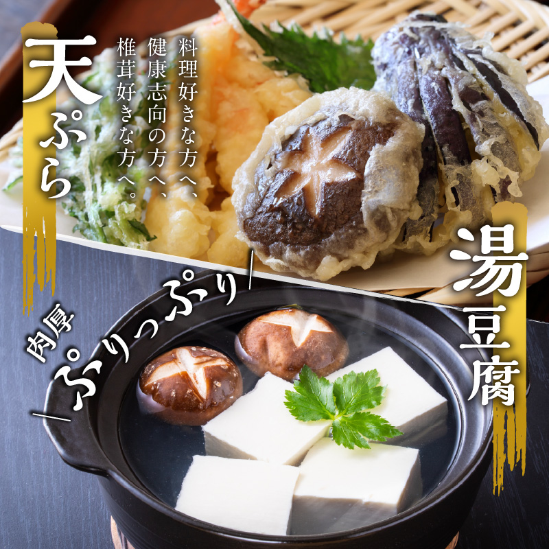 螟ァ蛻逕」荵セ縺励>縺溘¢縺ィ雎雁セ後″縺ョ縺薙き繝ャ繝シ縺ィ雎雁セ後″縺ョ縺薙a縺