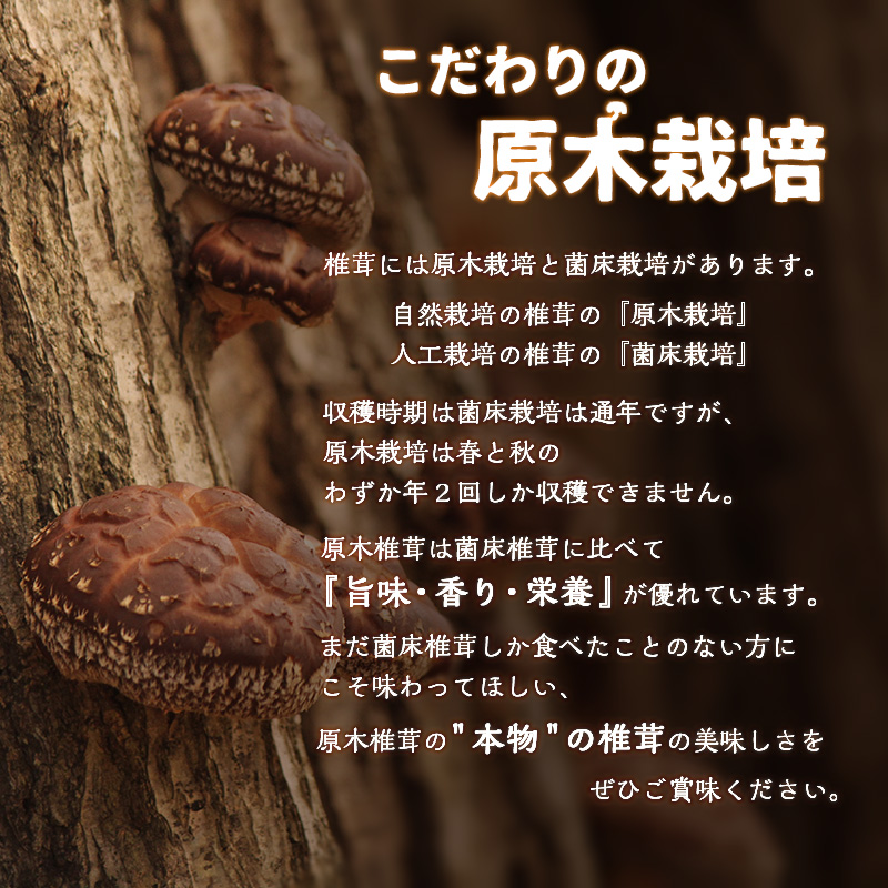 åæšä¹Ÿæ€èžãã©ãã5è¢ã»ããïŒåèš500ïœïŒ