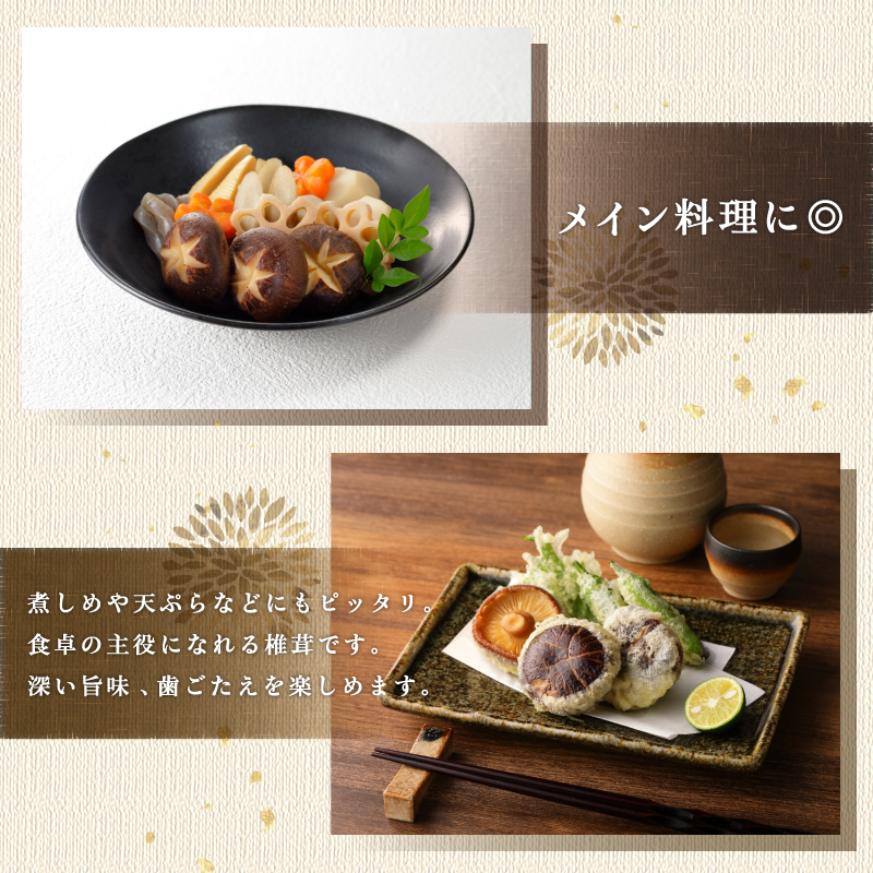 åæšä¹Ÿæ€èžãã©ãã5è¢ã»ããïŒåèš500ïœïŒ