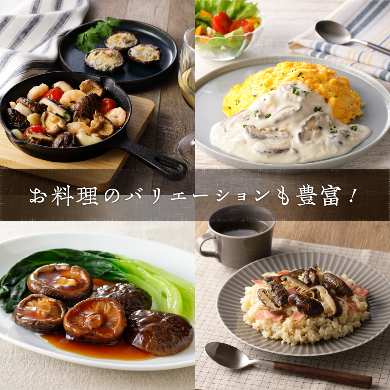 åæšä¹Ÿæ€èžãã©ãã5è¢ã»ããïŒåèš500ïœïŒ