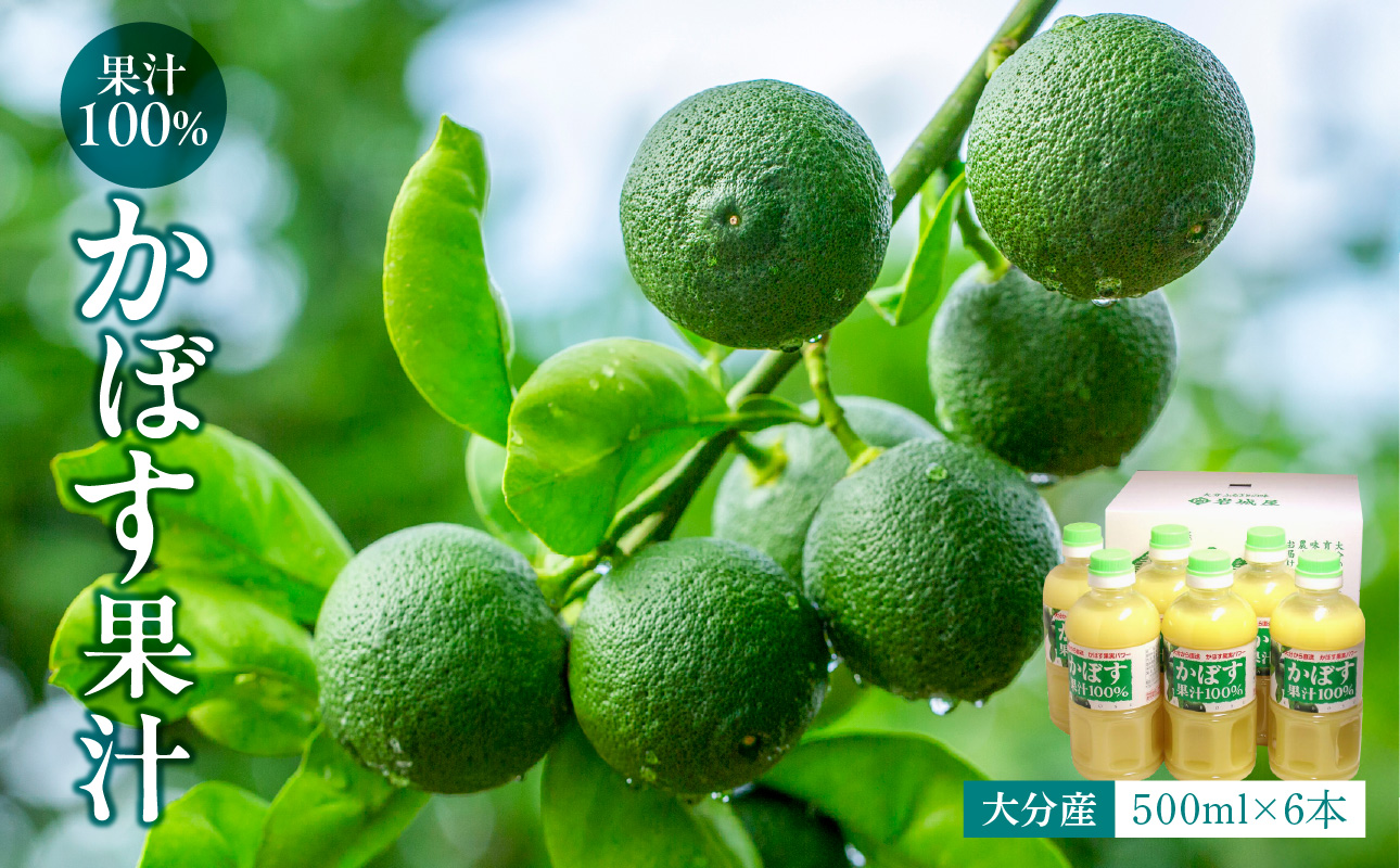 【大分県】【果汁100％】【無添加】カボス果汁　500ml×6本