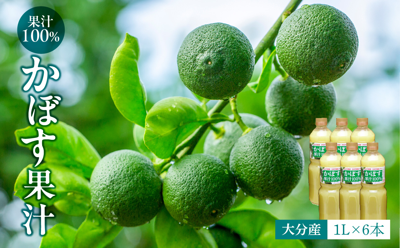 縲仙、ァ蛻逵後代先棡豎100シ縲代千┌豺サ蜉縲代き繝懊せ譫懈ア√1,000mlテ6譛ャ