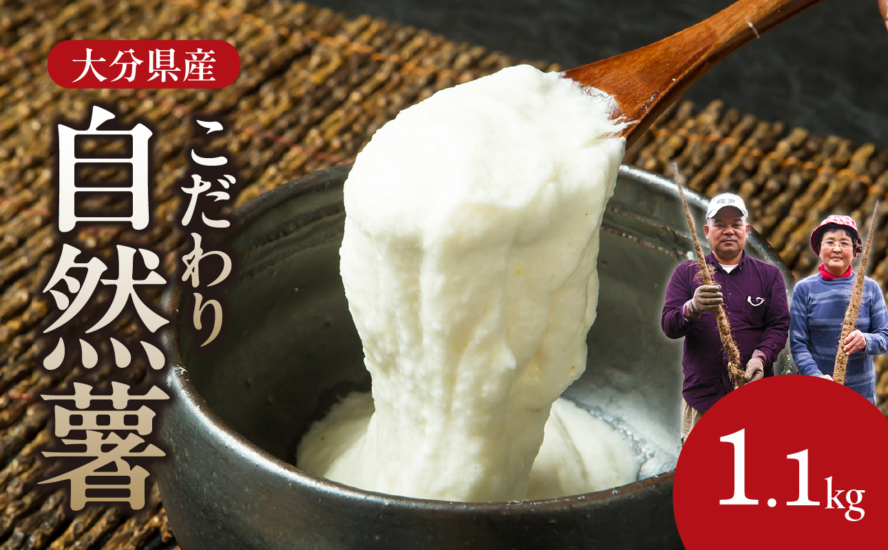 こだわり自然薯 A