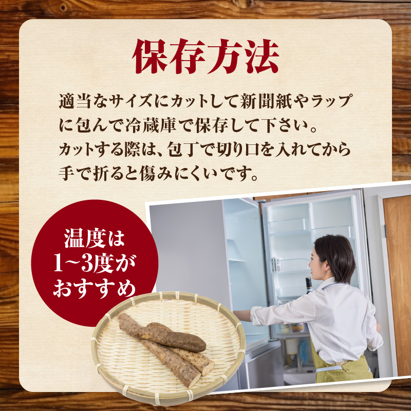 こだわり自然薯 A