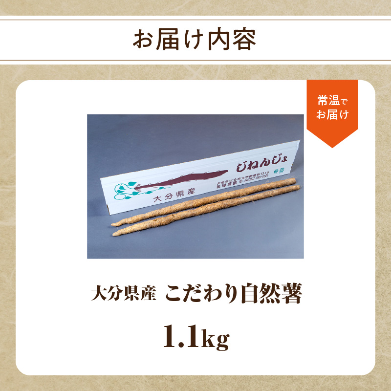 こだわり自然薯 A