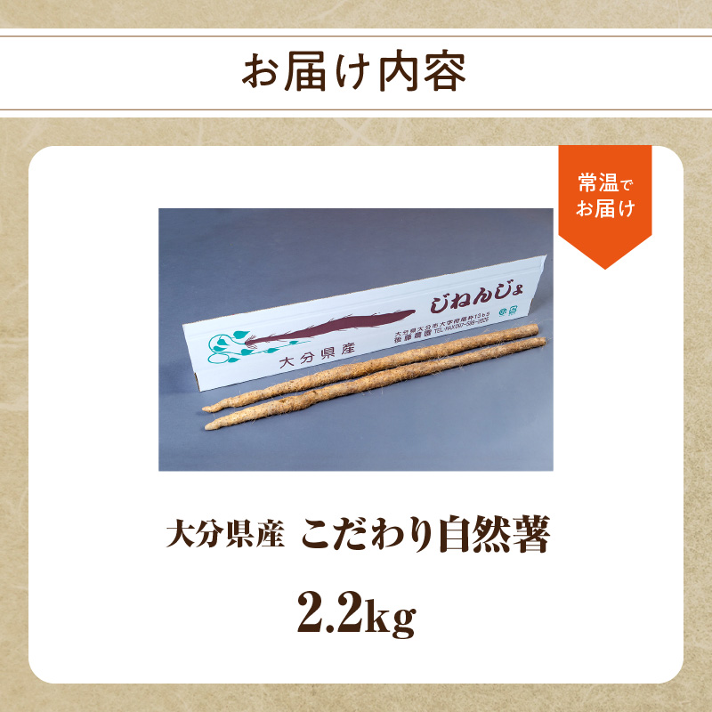 縺薙□繧上j閾ェ辟カ阮ッ B