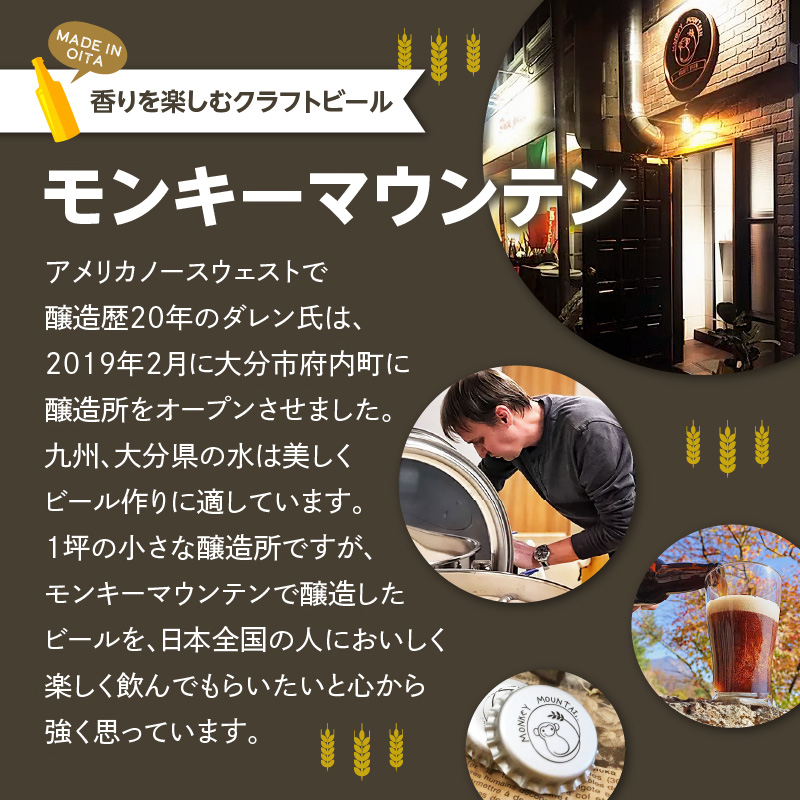 モンキーマウンテン　クラフトビール　6種飲み比べセット