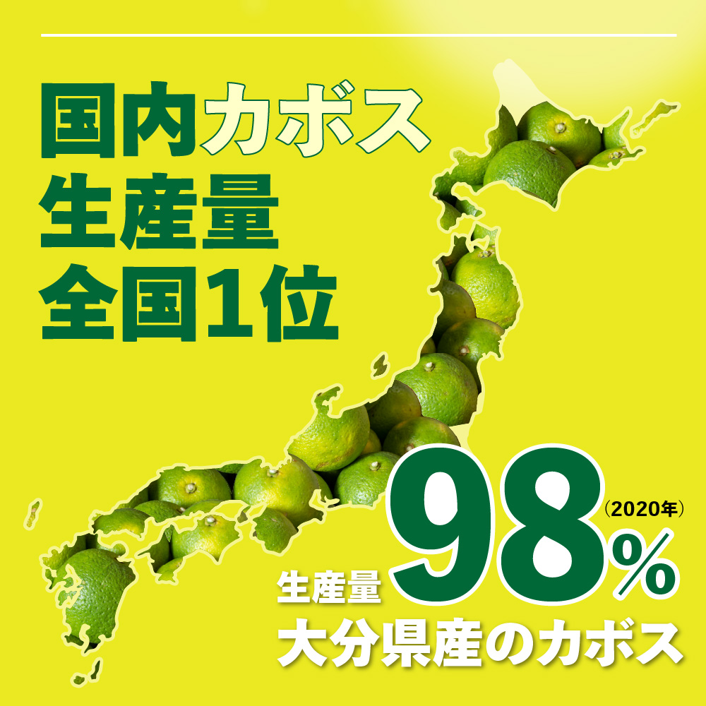 ããŒããã€ããŒã«ã340ïœïœÃ48æ¬