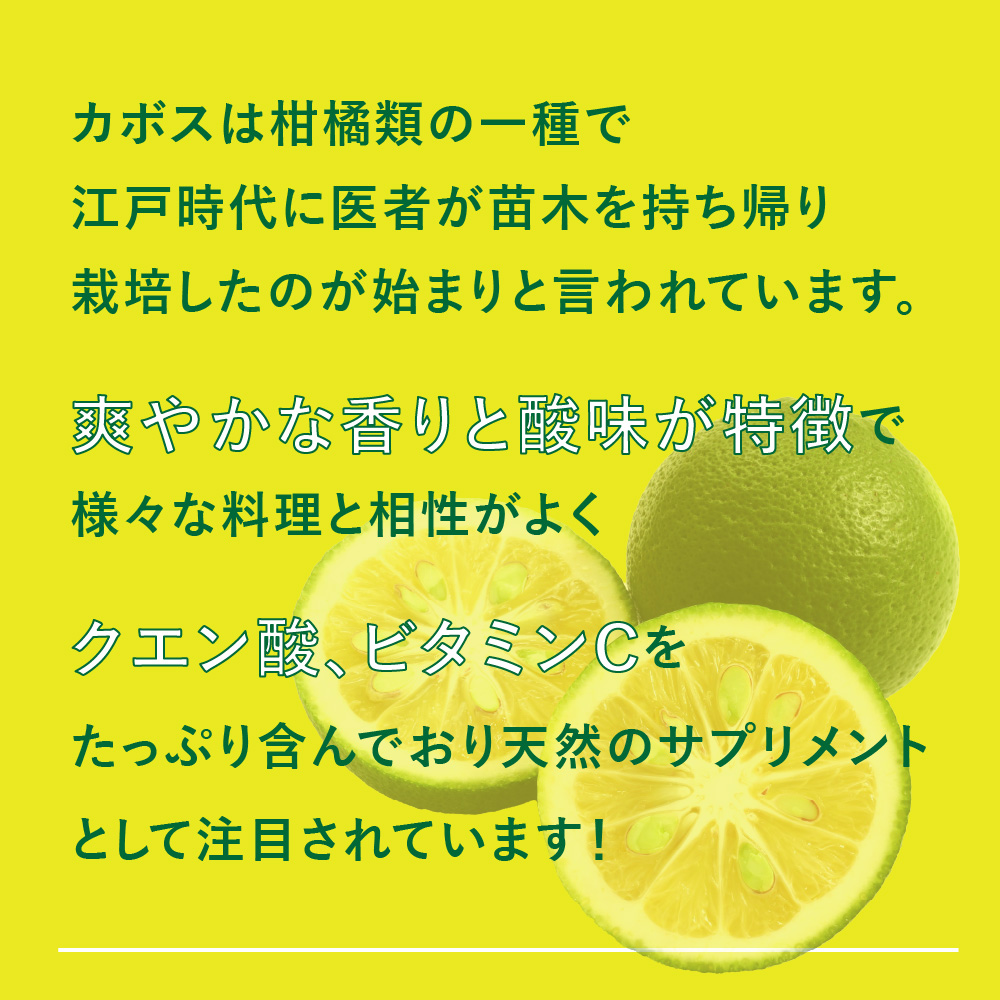 ããŒããã€ããŒã«ã340ïœïœÃ48æ¬