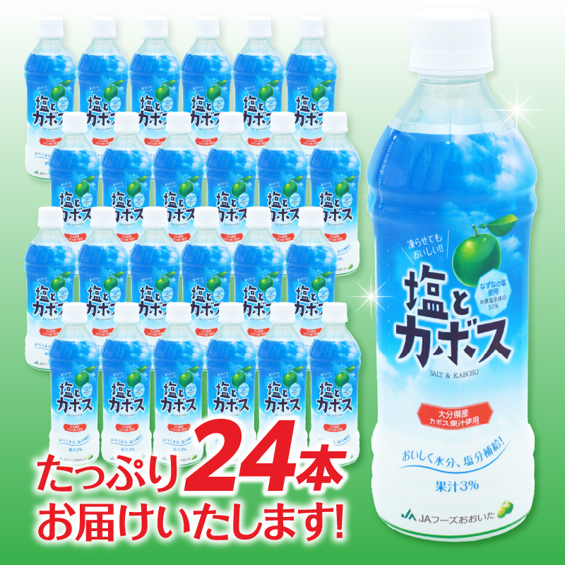塩とカボス　495ｍｌ×24本