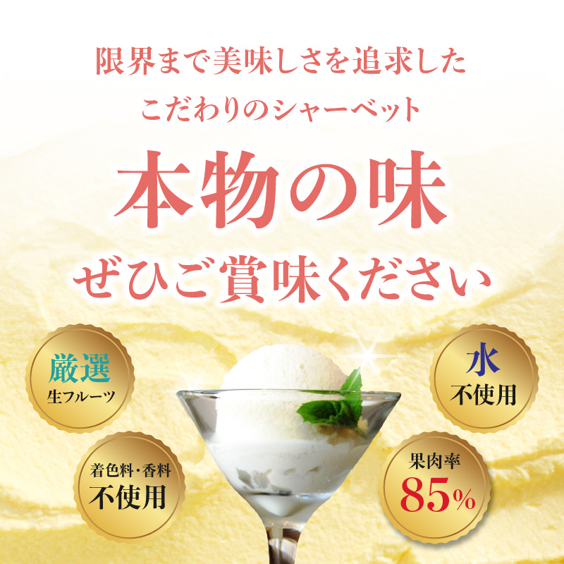 限界シャーベット　8個セット