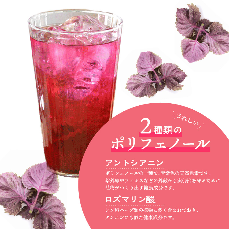 赤しそジュース（加糖・無糖お試しセット）900ｍｌ×各1本