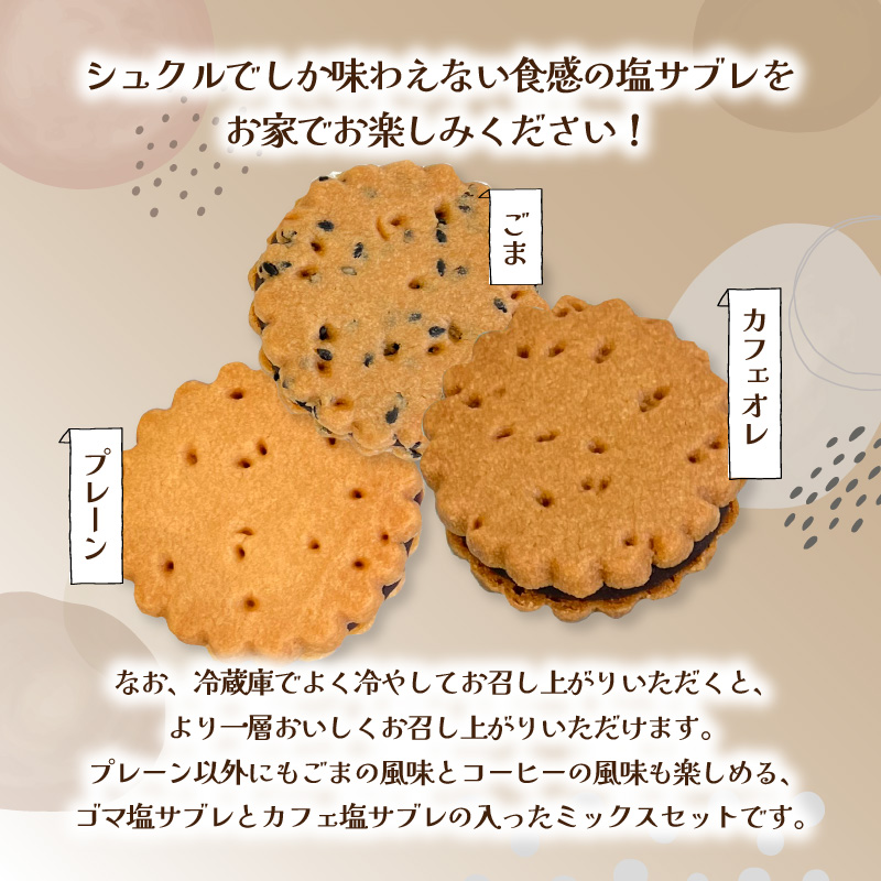 大分銘菓 塩サブレ ミックス　8個入り