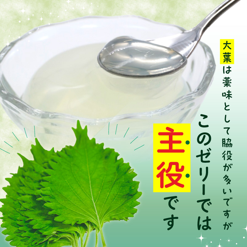螟ァ闡峨ぞ繝ェ繝シ 9蛟句・繧