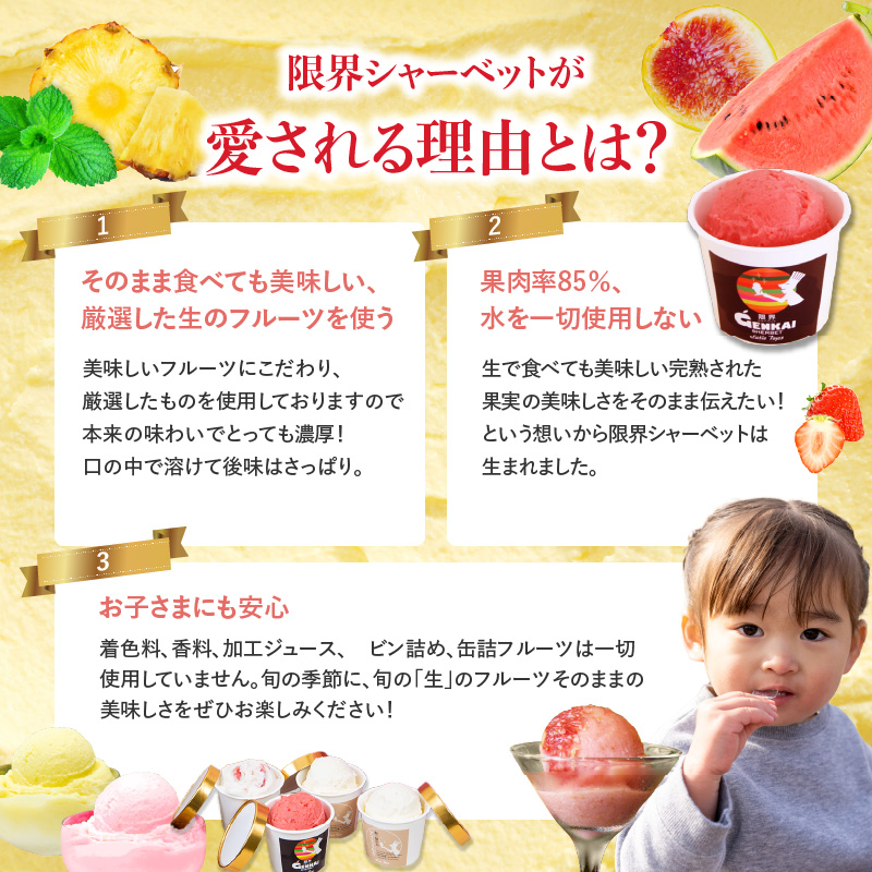 限界シャーベット　8個セット