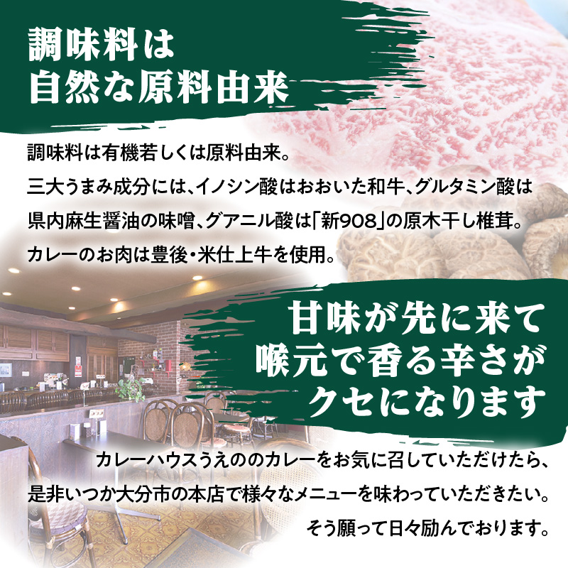 九州クラフト うえの焙煎ビーフカレー 冷蔵 3袋