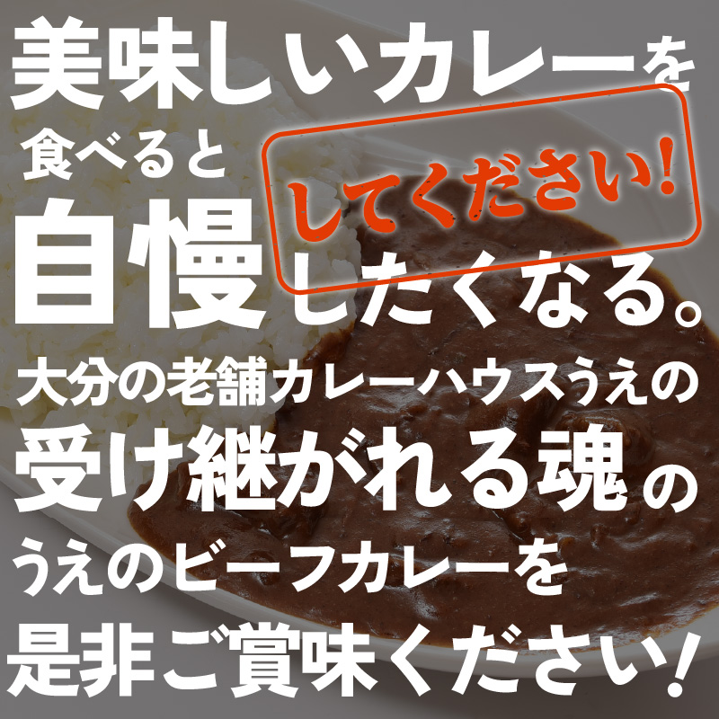 九州クラフト うえの焙煎ビーフカレー 冷蔵 3袋