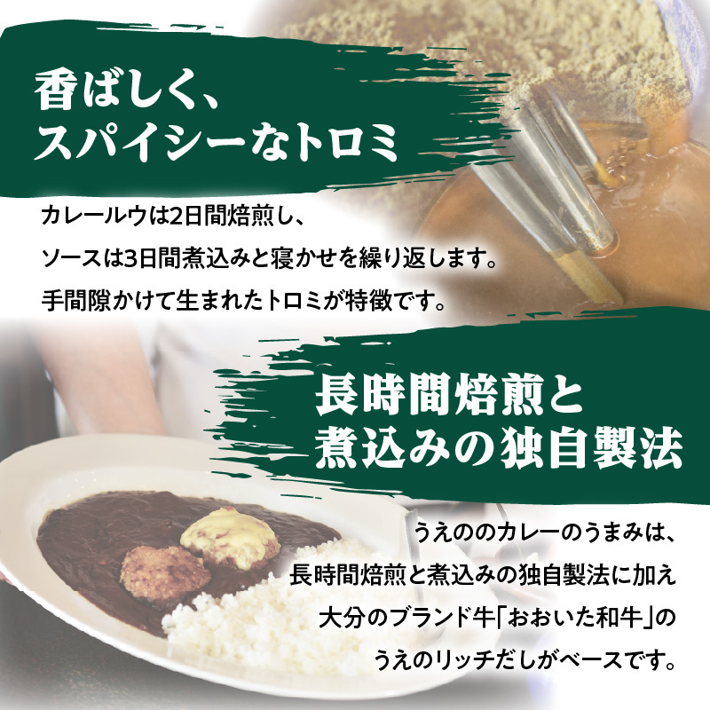 九州クラフト うえの焙煎ビーフカレー 冷蔵 5袋