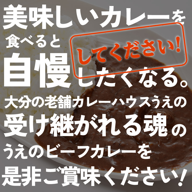 九州クラフト うえの焙煎ビーフカレー 冷蔵 5袋