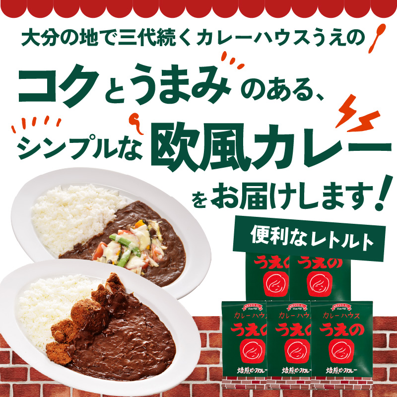 九州クラフト うえの焙煎ビーフカレー レトルト 5袋