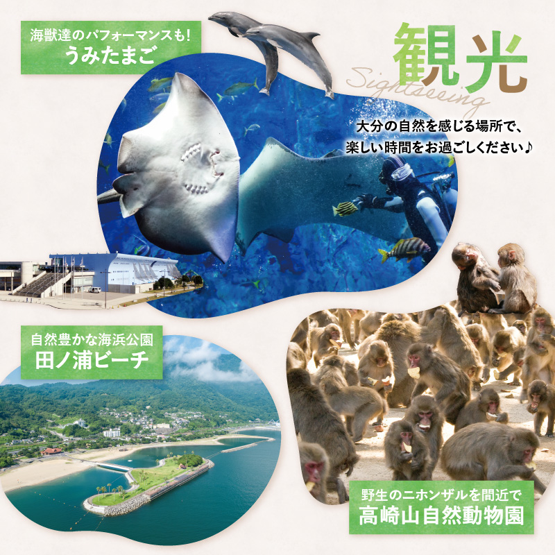大分県大分市 日本旅行 地域限定旅行クーポン 【60,000円分】